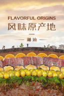 Flavorful Origins (2019)