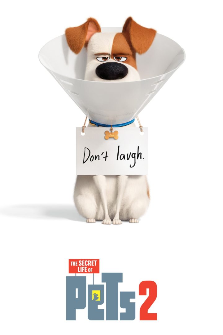 The Secret Life of Pets 2 เรื่องลับแก๊งขนฟู 2 (2019)