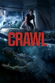 Crawl คลานขย้ำ