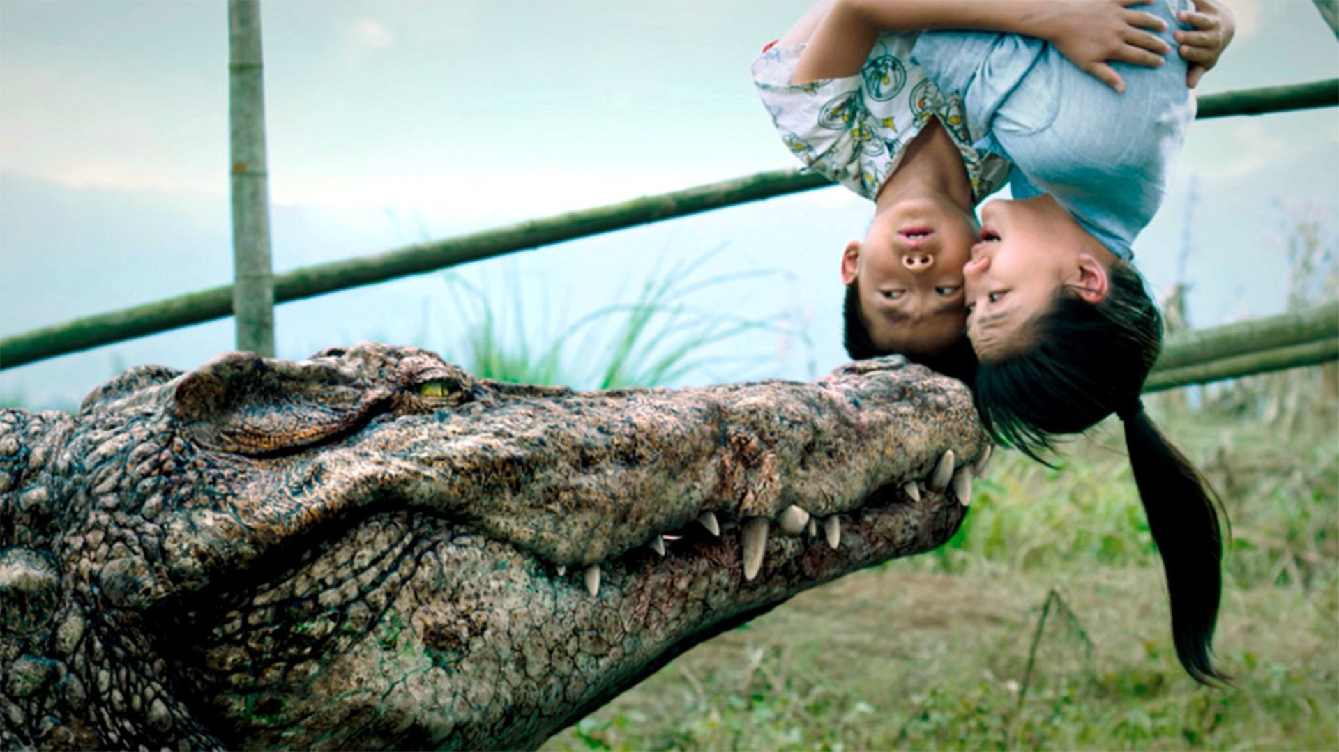 หนังจระเข้ Alligator Movies